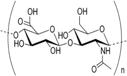 Hyaluronic Acid Suppliers